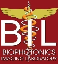 BIL Logo