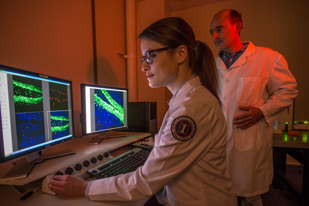 Rhodes Lab