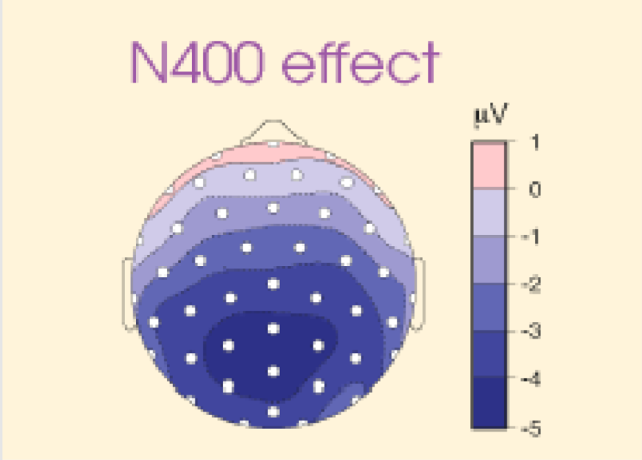 N400 Effect