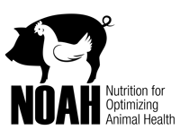 NOAH logo