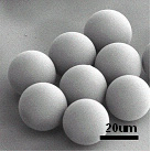 Chitosan microspheres