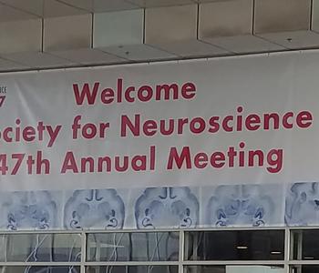 SfN Banner