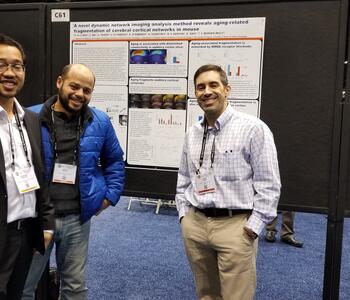 SfN Poster 