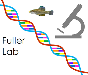 DNA, a fish, and a mircoscope