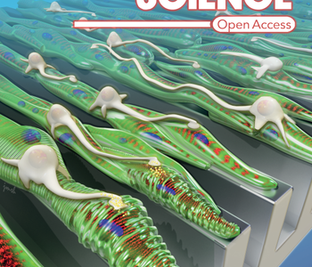 Science Cover