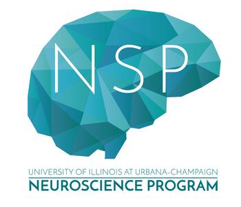 NSP Brain