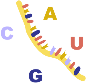 RNA Illustration