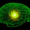 Green Brain with Inner Glow