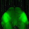 Green Brain