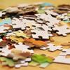 pieces of the puzzle