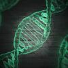 DNA Graffiti