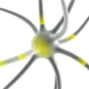Neuron sending signals