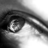 Human Eye