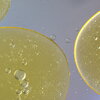 Lipid-Containing Oil